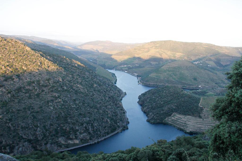 Douro Yacht Charter & Bungalows Sao Joao da Pesqueira Luaran gambar
