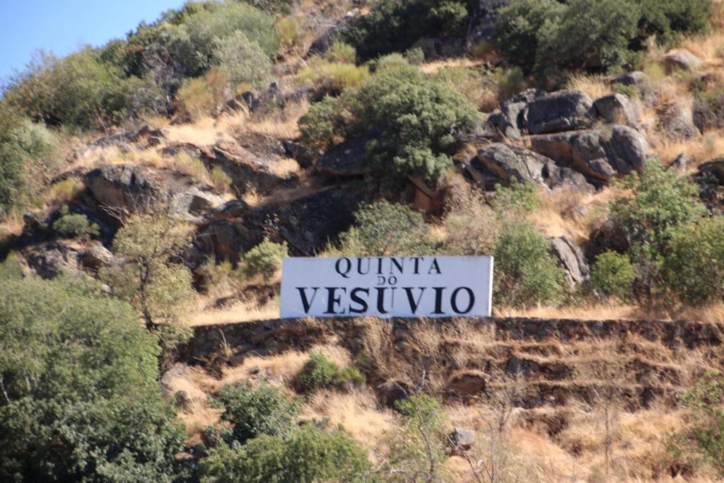 Douro Yacht Charter & Bungalows Sao Joao da Pesqueira Luaran gambar
