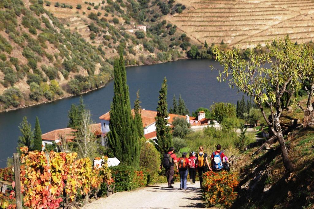 Douro Yacht Charter & Bungalows Sao Joao da Pesqueira Luaran gambar