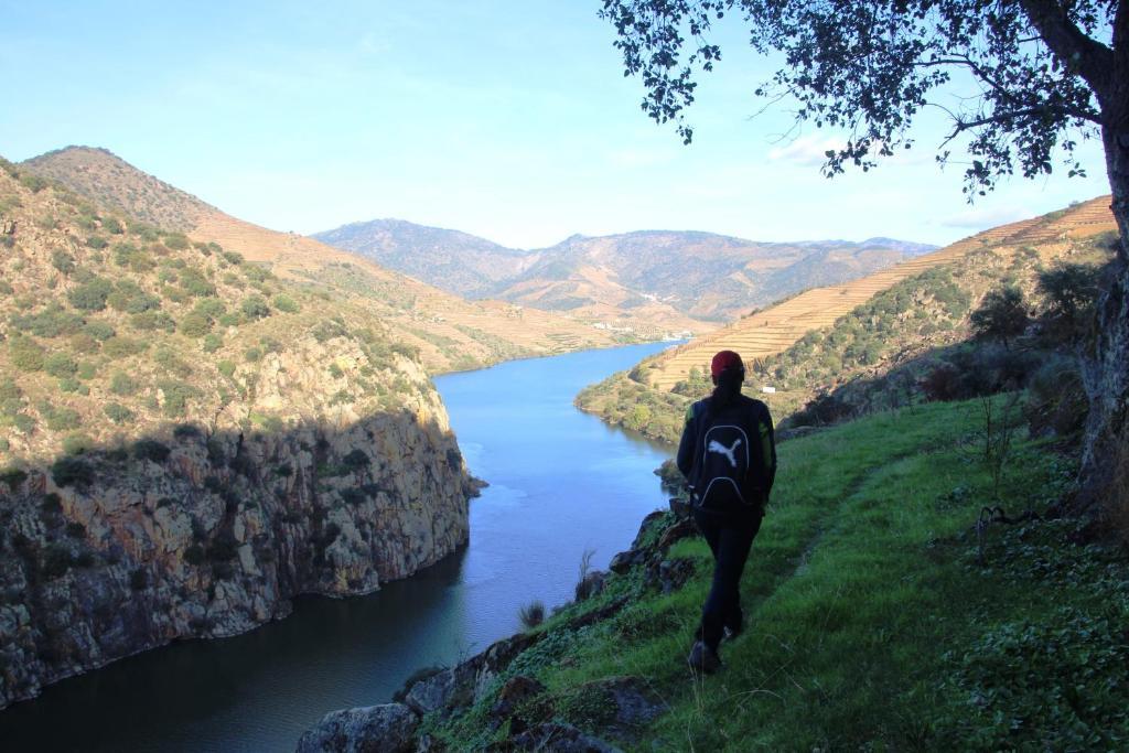 Douro Yacht Charter & Bungalows Sao Joao da Pesqueira Luaran gambar
